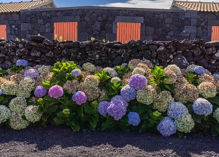 Paraiso Do Triangulo *